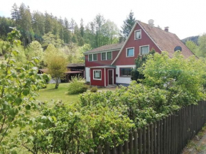 Beautiful holiday home in Harz with garden
